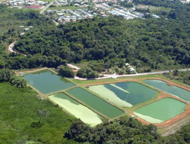 Lagune Morne Coco à Rémire-Montjoly